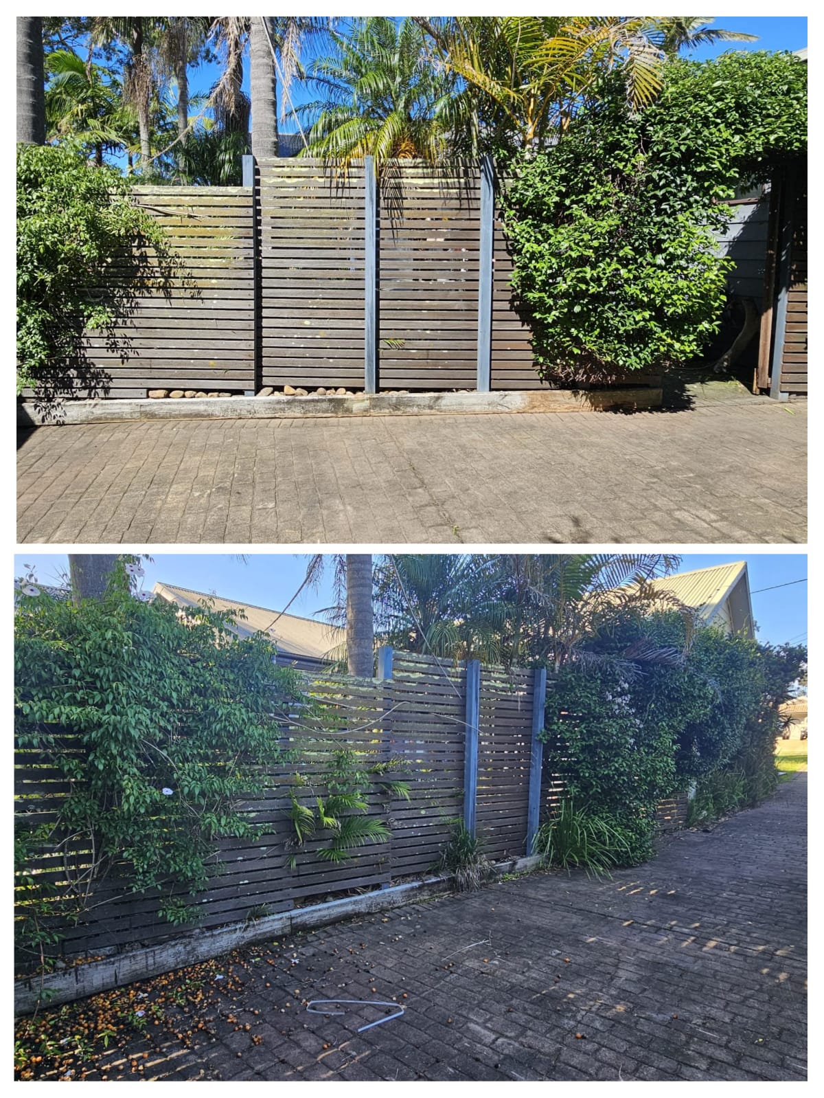 Exterior Care